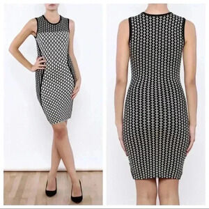 Torn by Ronny Kobo Tali Dress Large